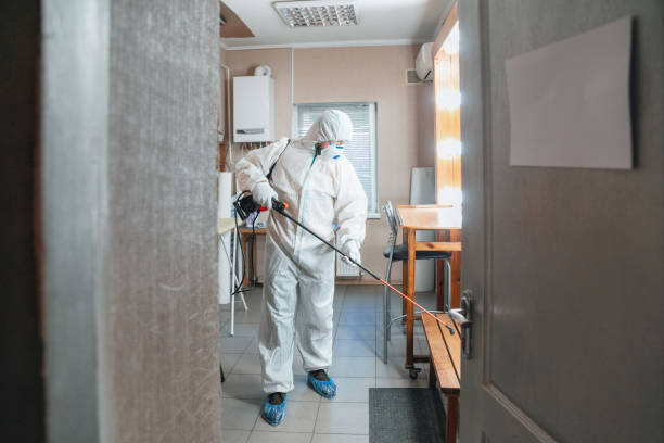 Best Post-Construction Mold Inspection  in Duchesne, UT
