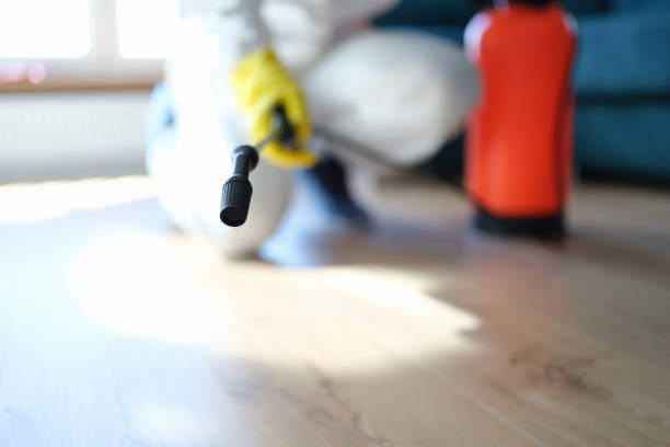 Best Mold Prevention Services  in Duchesne, UT