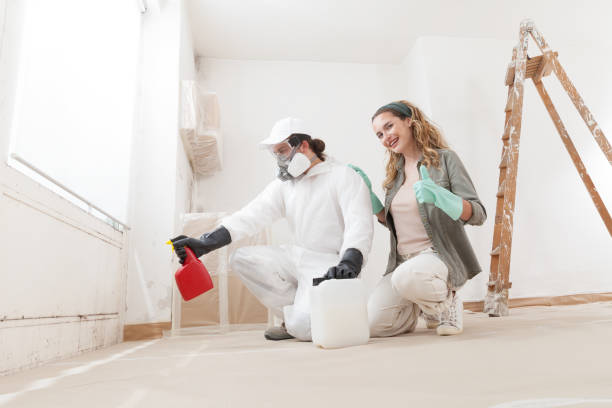 Mold Remediation for Vacation Homes in Duchesne, UT
